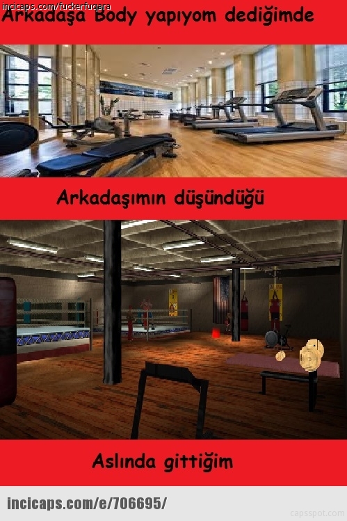 706695.jpg