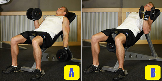 alternate incline curl.png