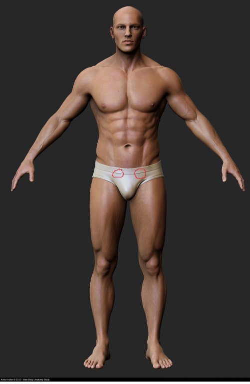 AndorKollar_MaleBody8.jpg