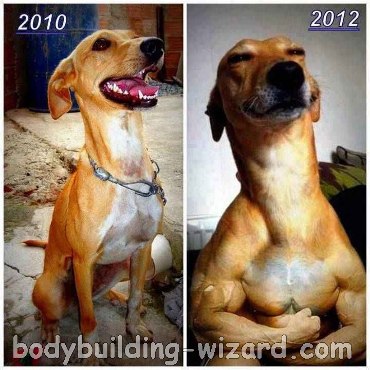 funny-before-and-after.jpg