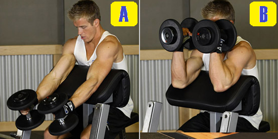 hammer preacher curl.png