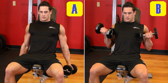 incline curl.png