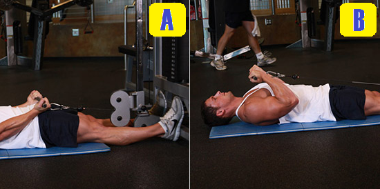 Lying Straight Bar Cable Curls.png