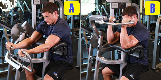 machine preacher curl.png