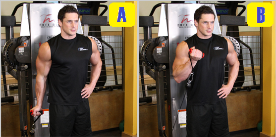 one arm cable curl.png