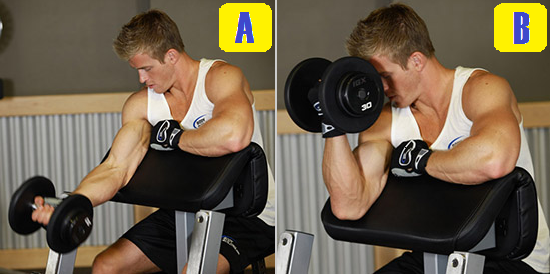 one arm preacher curl.png