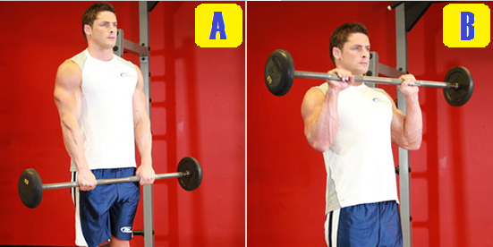 reverse curl.png